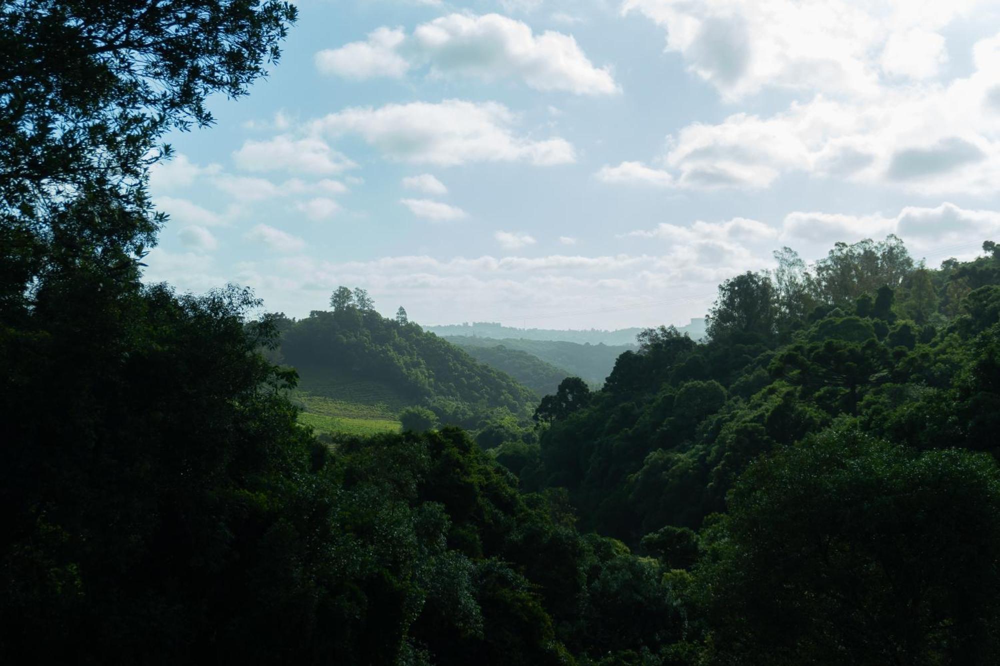 Chale Seiva Da Terra Villa Pinto Bandeira ภายนอก รูปภาพ